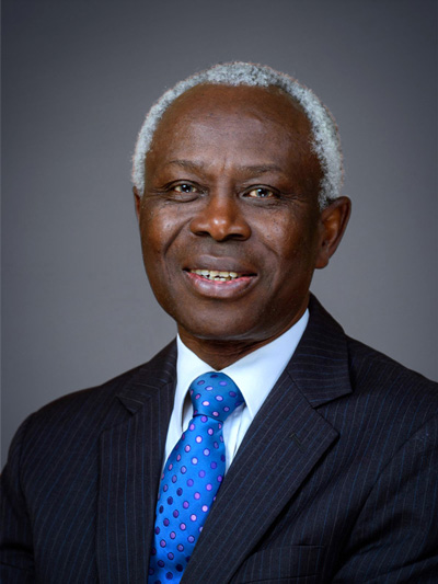 adedotun-sulaiman