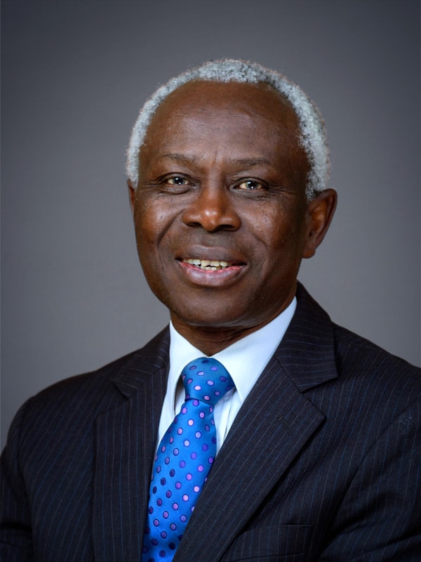 9 Powerful Leadership Nuggets from Adedotun Sulaiman, Board Chair of Parthian Partners